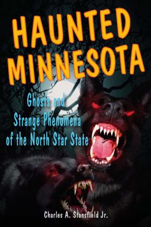 Cover of the book Haunted Minnesota by Kevin Patrick