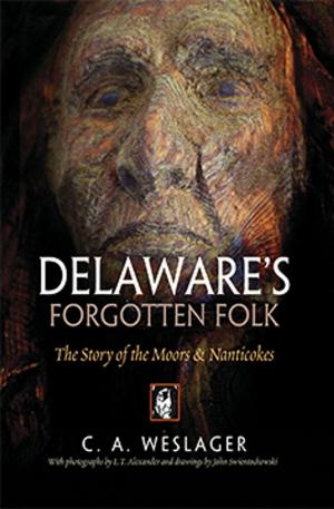 Cover of the book Delaware's Forgotten Folk by William H. Galperin