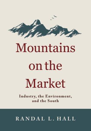 Cover of the book Mountains on the Market by William Lynwood Montell