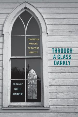 Book cover of Through a Glass Darkly