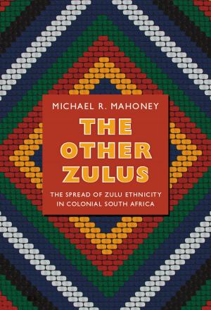 Cover of the book The Other Zulus by Gloria Anzaldua