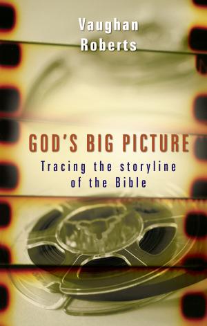 Cover of the book God's Big Picture by Lee Wolfe Blum