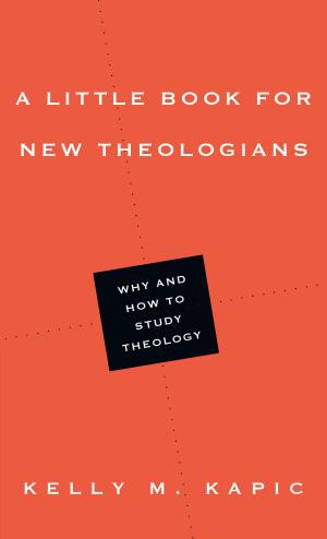 Cover of the book A Little Book for New Theologians by Arthur F. Holmes