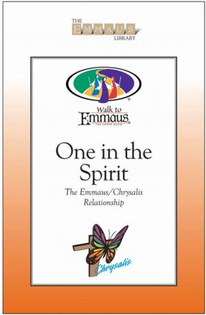 Cover of the book One in the Spirit by Pamela C. Hawkins