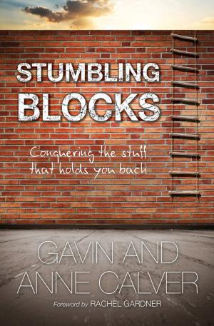Book cover of Stumbling Blocks