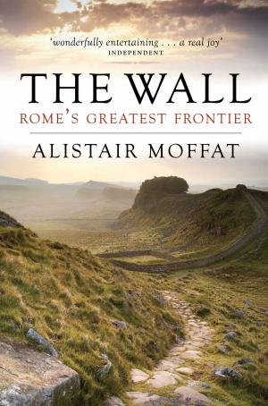 Cover of the book The Wall by Ron Butlin
