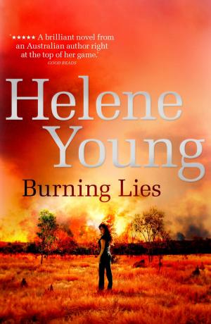 Cover of the book Burning Lies by Amanda Li