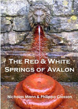 bigCover of the book The Red and White Springs of Avalon by 