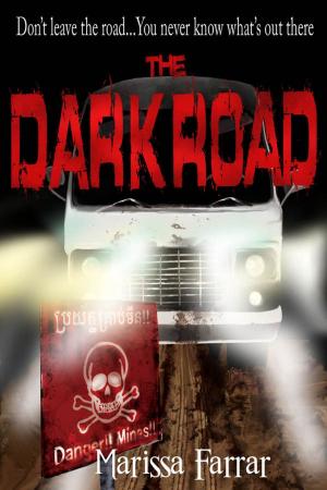 Book cover of The Dark Road