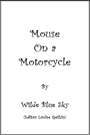 Book cover of Mouse on a Motorcycle