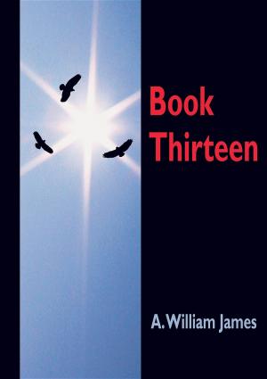 Book cover of Book Thirteen