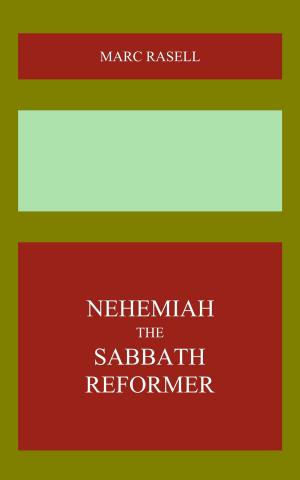Cover of the book Nehemiah the Sabbath Reformer by Seyed Mostafa Azmayesh