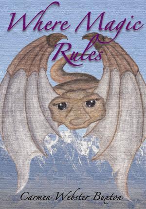 Cover of the book Where Magic Rules by David Papa-Adams