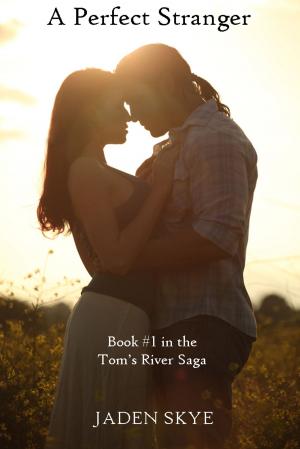 Book cover of A Perfect Stranger (Book #1 in the Tom's River Saga)
