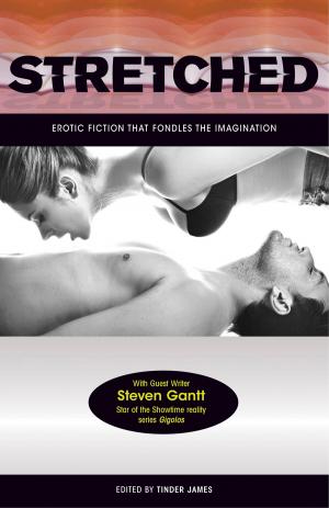 Cover of the book Stretched - Erotic Fiction that Fondles the Imagination by B S Dunn