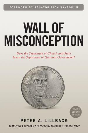 Cover of Wall of Misconception