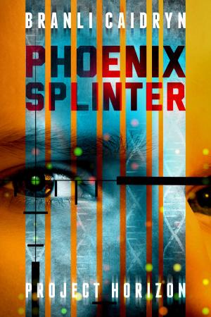 Cover of the book Phoenix Splinter by J.L. V'Tar