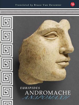 Cover of the book Andromache by Karen D. Bradley