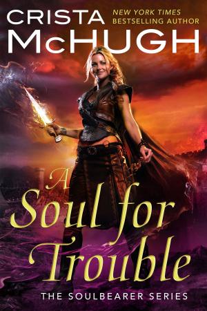 Cover of the book A Soul For Trouble by Crista McHugh