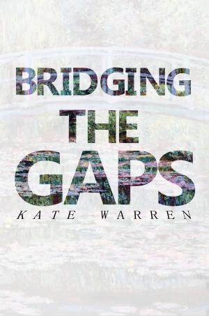 Cover of the book Bridging The Gaps by Felicia Denise