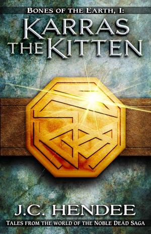 Cover of the book Karras the Kitten by Celina Summers