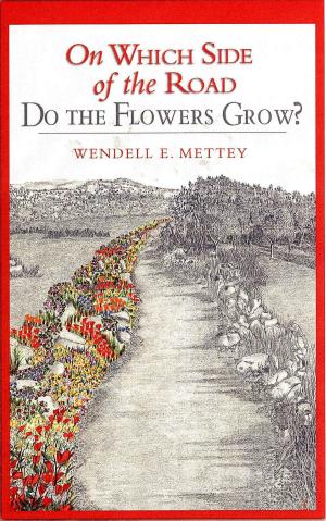 Cover of the book On Which Side of the Road Do the Flowers Grow? by Margery Walshaw