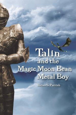 Cover of the book Talin and the Magic Moon Bean Metal Boy by Charmaine Theron