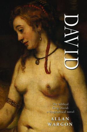 Cover of the book David by King James
