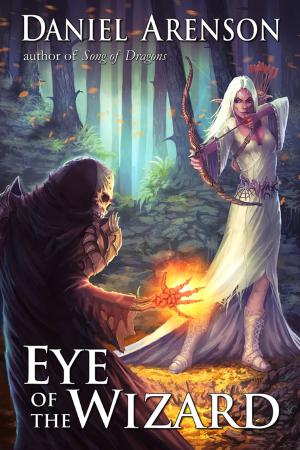 Cover of the book Eye of the Wizard by Sophie Masson