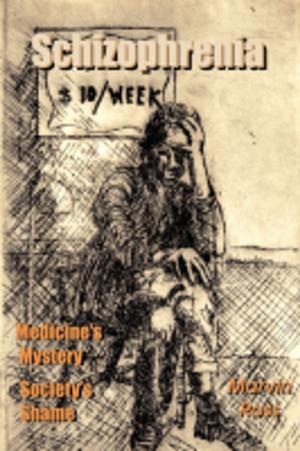Cover of the book Schizophrenia Medicine's Mystery Society's Shame by Erin L Hawkes