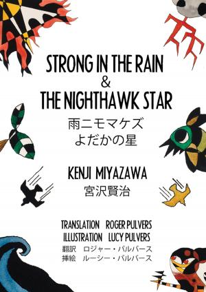 Book cover of Strong In The Rain & The Nighthawk Star