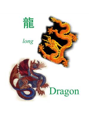 Cover of the book What is the DRAGON in China? by S. Abdel-Aziz Ali Orou