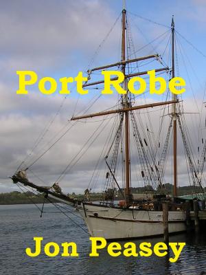 Cover of Port Robe