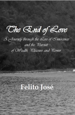 bigCover of the book The End of Love by 