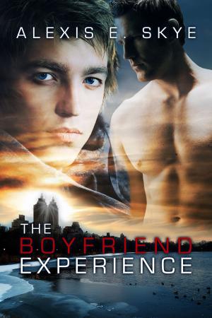 Cover of the book The Boyfriend Experience by Parker Williams