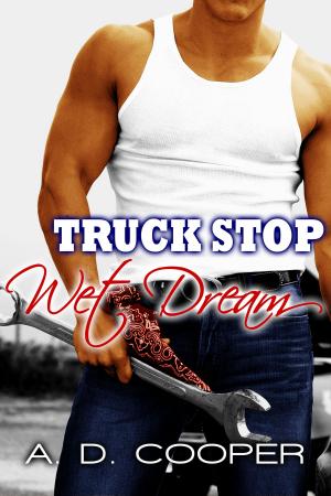 Book cover of Truck Stop Wet Dream
