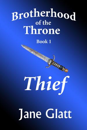 Cover of the book Thief by Connie J. Jasperson