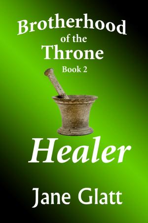 Book cover of Healer