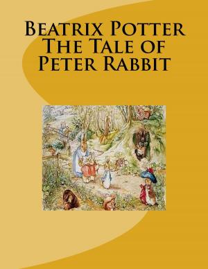 Cover of the book The Tale of Peter Rabbit by John Bloundelle Burton