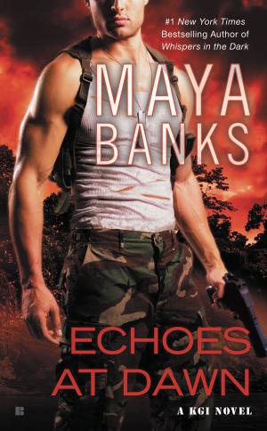 Cover of the book Echoes at Dawn by Allison Samuels