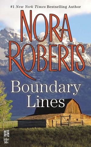 Cover of the book Boundary Lines by Dennis L. McKiernan