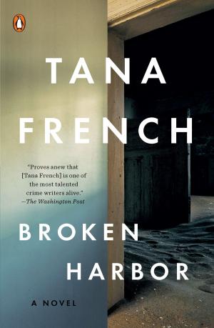 Cover of the book Broken Harbor by Ellen Connor