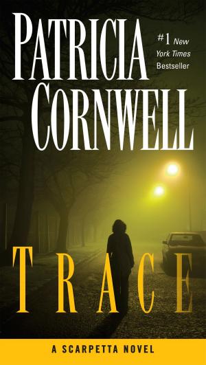 Cover of the book Trace by Barb Hendee