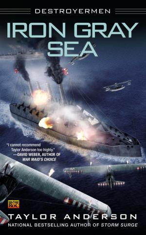 Cover of the book Iron Gray Sea by S.A. Fenech