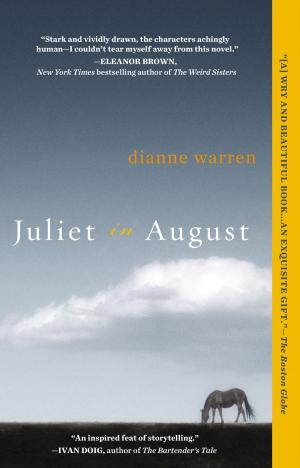 Book cover of Juliet in August