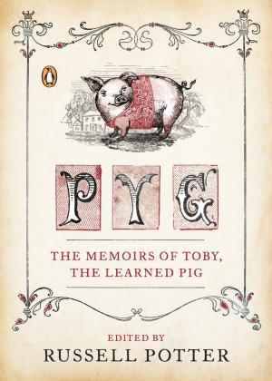 Cover of the book Pyg by Richard A. Clarke, Robert K. Knake