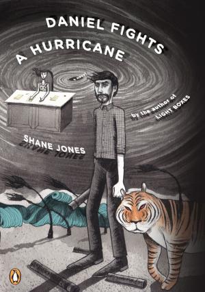 Cover of the book Daniel Fights a Hurricane by Charlotte Silver