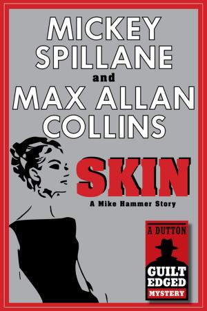 Cover of the book Skin by Jake Logan