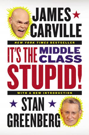 Cover of the book It's the Middle Class, Stupid! by Alice Hoffman