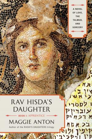 Cover of the book Rav Hisda's Daughter, Book I: Apprentice by Jon Sharpe